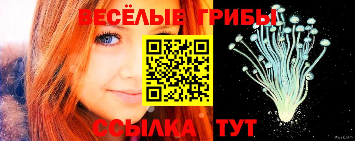 Нижнеудинск  Галлюциногенные грибы Psilocybine cubensis  Вход с VPN 